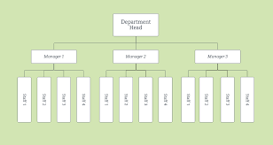 An organization Chart.