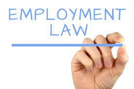 BUSM4591 Employment Law