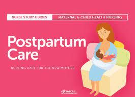 Business plan of a postpartum care center. 
