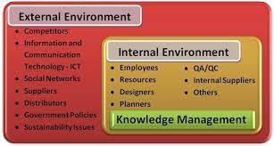 External and internal business environment.