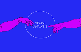 Final Visual Analysis Project