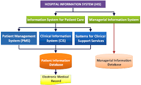 Healthcare information systems