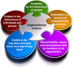 Organizational Culture and Values.