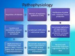 Pathophysiology of bronchiolitis