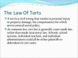 Relationship of torts to risk management