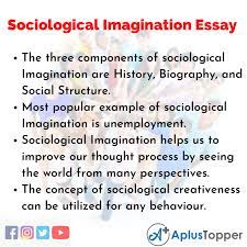 Sociological imagination essay
