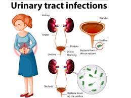 Treating urinary tract infections.