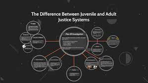 Adult and Juvenile Correctional Systems.