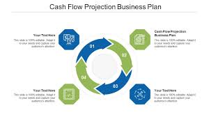 Business plan and cashflow projections.