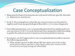 Case conceptualization