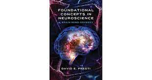 Discussion on Foundational Neuroscience.