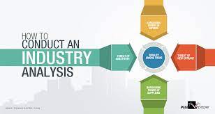 Industry Analysis essay
