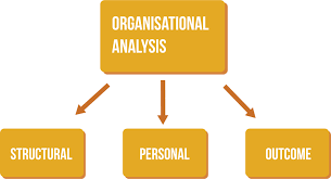 Organization Analysis and Recommendations