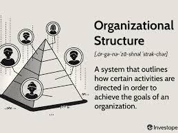 Organizational differences