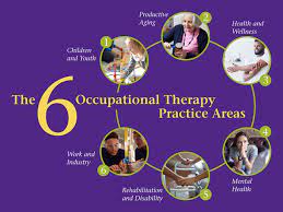 Practice in Occupational Therapy.