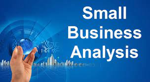Small business Analysis