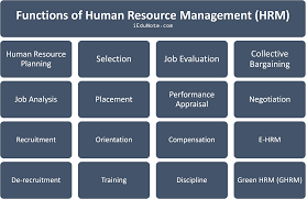 The Human Resource function