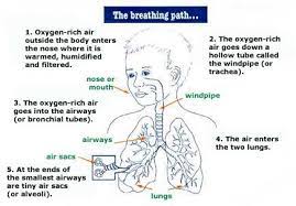Treating Asthma in kids.