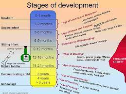 Child developmental Processes