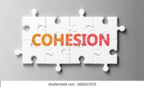 Cohesion Case Study 