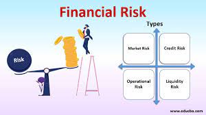 Concept of risk in financial analysis.