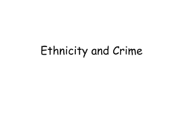 Ethnicity and Crime Fighting