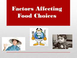 Factors impacting daily food choices.