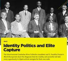 Identity Politics and Elite Capture