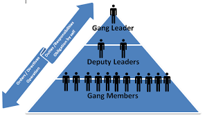 Leadership hierarchy of gangs