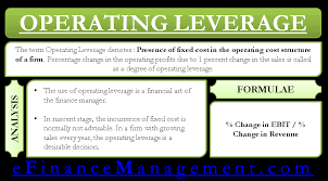 Operating Leverage and Performance.