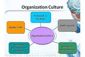 Organizational culture and structure