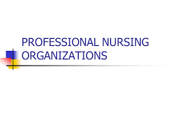 Professional Nursing Organizations