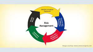 Risk management and information security.