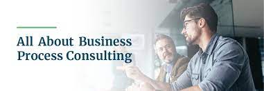 Business Process Consultant