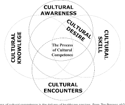 Cultural Awareness paper