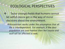 Ecological Perspective Essay