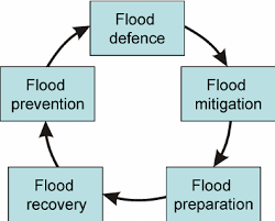 Flood risk management strategies