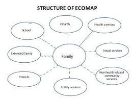 Genogram and an ecomap
