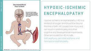 Neonatal Hypoxic Ischemic Encephalopathy.