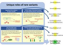 Rare genetic variants
