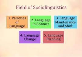 The field of Sociolinguistic