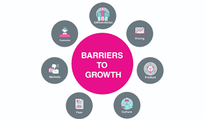 Barriers to business growth.