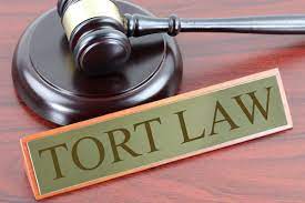 Concepts of Contract and Tort Law.