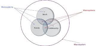 Family and community systems