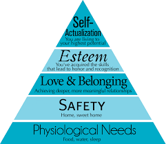 Hierarchy of needs theory.