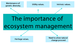 Importance of ecosystem in a utility company