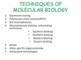 Molecular biology techniques. 