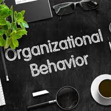 Research project on organizational behavior.