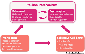 Social psychological mechanisms.