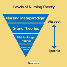 Applying nursing theory to patient care.